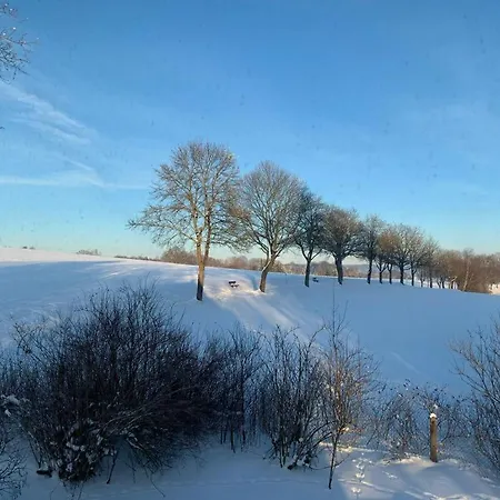 Ferienhaus Quellenruhe * Bad Brambach